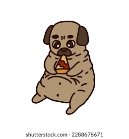  pug is sitting and eating pizza. Illustration isolated on white background.
