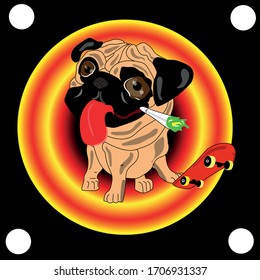 
pug skate board smoking weed