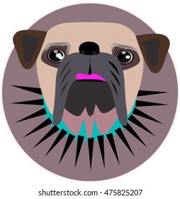 Pug soft eyes.