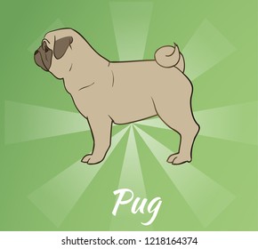 Pug Standing Colored with background for Coloring Book