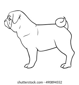 Pug Standing for Coloring Book