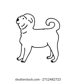 Pug, ein robuster Hund ​​mit kurzer Schnauze, großen Augen und Falten im Gesicht. Doodle. Vektorgrafik. Handgezeichnet. Umriss.