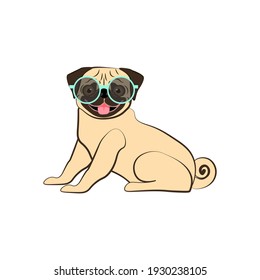 Pug in sunglasses vector illustration on the white background. Vector illustration