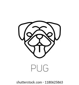 Pug tongue out. Dog breed linear face icon.  Isolated vector line dog head