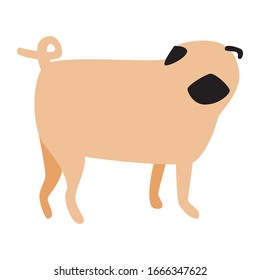 The pug turned back. A single character is isolated on a white background as a pet concept. Scandinavian vector stock illustration with doodle dog for design.