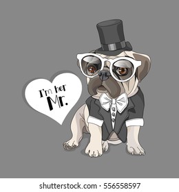 Pug in a tuxedo, glasses and Top hat with heart card on a gray background. Vector illustration.