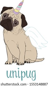 Pug unicorn with horn and wings vector. Unipug funny illustration.