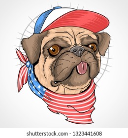 pug usa flag dog