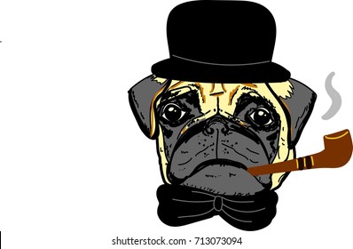 pug vector dog smoking cigar black hat and bow gentleman art whimsical funny animal wallpaper puppy wallpaper grey white isolated illustrator 