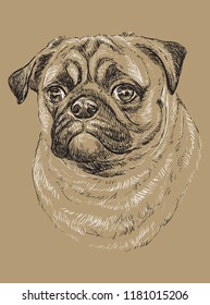 Pug vector hand drawing black and white illustration isolated on beige background