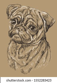 Pug vector hand drawing black and white illustration isolated on beige background