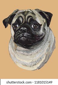 Pug vector hand drawing illustration in different color on beige background