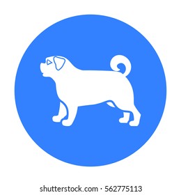 Pug vector icon in black style for web