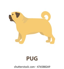 Pug vector icon in cartoon style for web