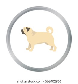 Pug vector icon in cartoon style for web