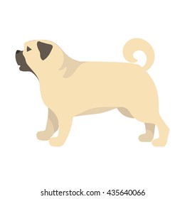 Pug vector illustration icon in cartoon design