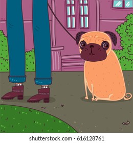 Pug for a walk 