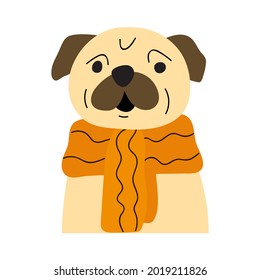 Pug wearing scarf. Hand drawn illustration on white background.