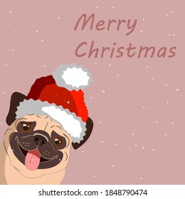 pug wishes you merry christmas