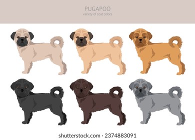 Pugapoo clipart. Pug Poodle mix. Different coat colors set.  Vector illustration