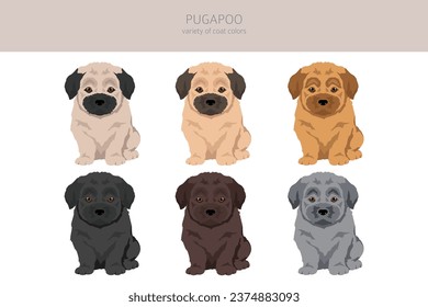 Pugapoo clipart. Pug Poodle mix. Different coat colors set.  Vector illustration