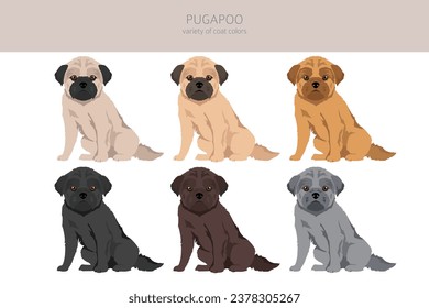 Pugapoo clipart. Pug Poodle mix. Different coat colors set.  Vector illustration