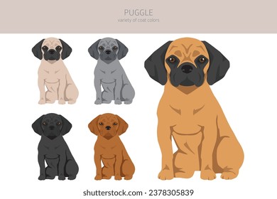 Puggle clipart. Pug beagle mix. Different coat colors set.  Vector illustration