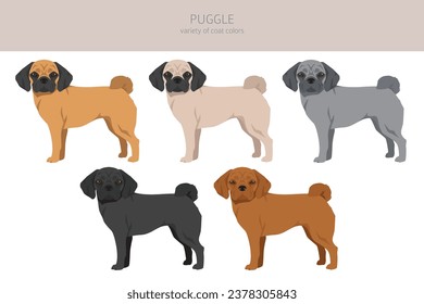 Puggle clipart. Pug beagle mix. Different coat colors set.  Vector illustration