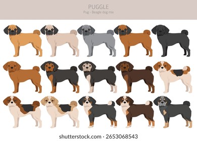 Puxe clipart. Mistura de beagle. Diferentes cores de casaco definido.  Ilustração vetorial