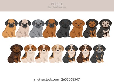 Puxe clipart. Mistura de beagle. Diferentes cores de casaco definido.  Ilustração vetorial