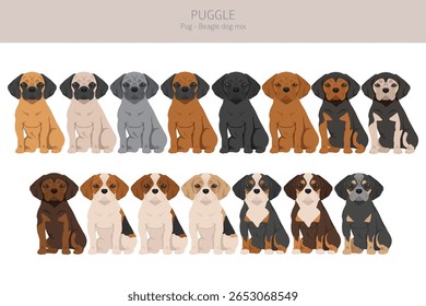 Puxe clipart. Mistura de beagle. Diferentes cores de casaco definido.  Ilustração vetorial