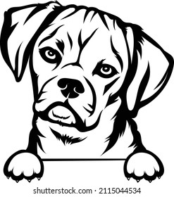 Puggle Peeking Dog Vector Puggle Lovers Stock Vector (Royalty Free ...