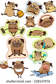 Pugs illustration