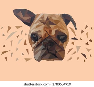 pug`s muzzle in low poly style on beige background