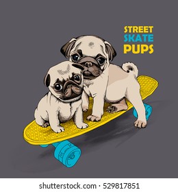 Pugs puppies on a skateboard. Vector illustration.