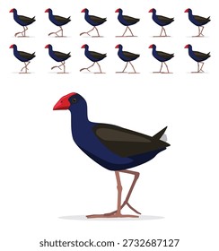 Pukeko Bird Swamphen Walking Motion Animation Sequence Cartoon Vector Illustration