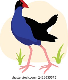 Pukeko Native Aotearoa New Zealand Bird Flat Graphic Vector Illustration on Isolated Background