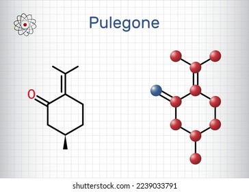 Pulegone molecule. It is natural component of essential oils. Structural chemical formula and molecule model. Sheet of paper in a cage. Vector illustration