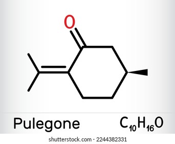 Pulegone molecule. It is natural component of essential oils. Skeletal chemical formula. Vector illustration