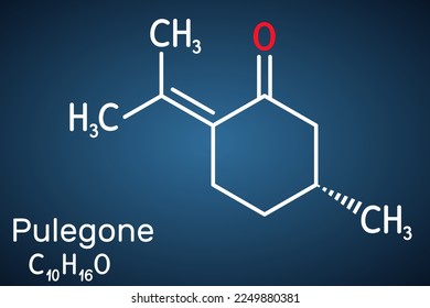 Pulegone molecule. It is natural component of essential oils. Structural chemical formula and molecule model. on the dark blue background. Vector illustration