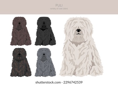 Puli clipart. Different poses, coat colors set.  Vector illustration