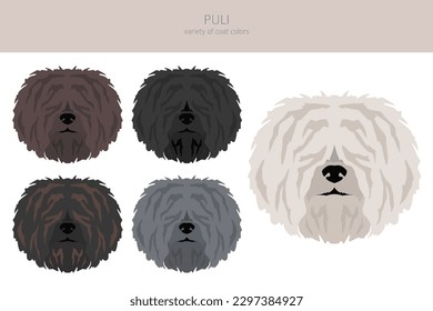 Puli clipart. Different poses, coat colors set.  Vector illustration