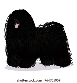 Puli dog cartoon black