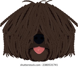 Puli dog isolated on white background vector illustration