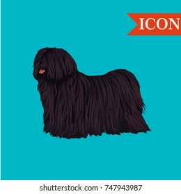 Puli or Komondor dog vector illustration colorful background 