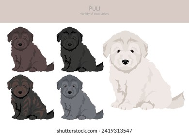 Puli puppies clipart. Different poses, coat colors set.  Vector illustration