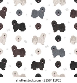 Puli seamless pattern. Different poses, coat colors set.  Vector illustration