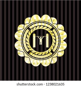 pull up icon inside gold badge or emblem