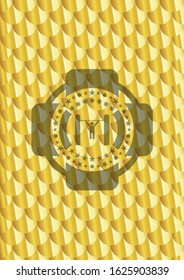 pull up icon inside gold emblem or badge. Scales pattern. Vector Illustration. Detailed.
