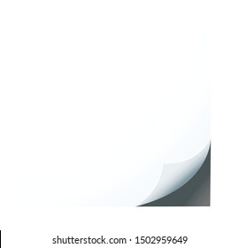 Pull the paper. white paper background vector illustration EPS10